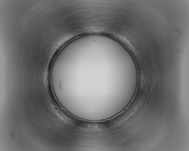 X0000113360439200909291033