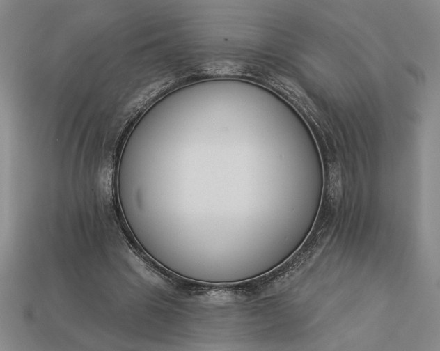 X0000113360441200909291033