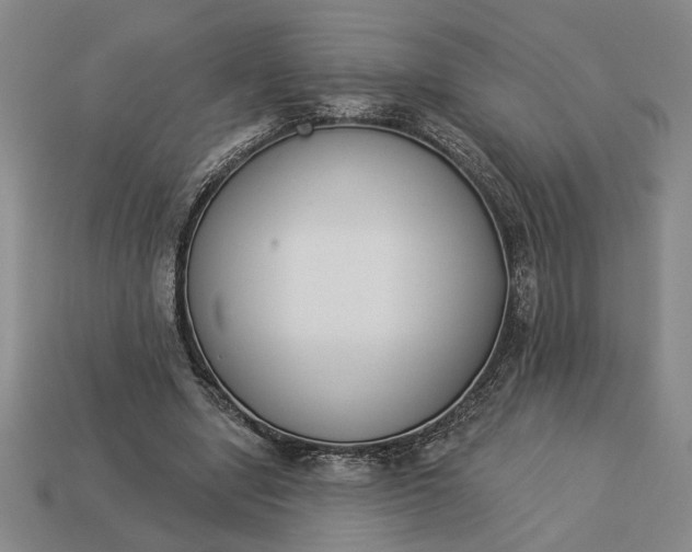 X0000113360442200909291033