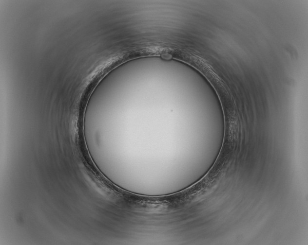 X0000113360443200909291033