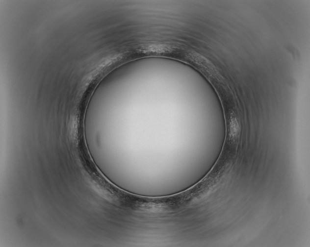 X0000113360444200909291033