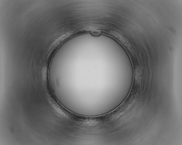 X0000113360445200909291033