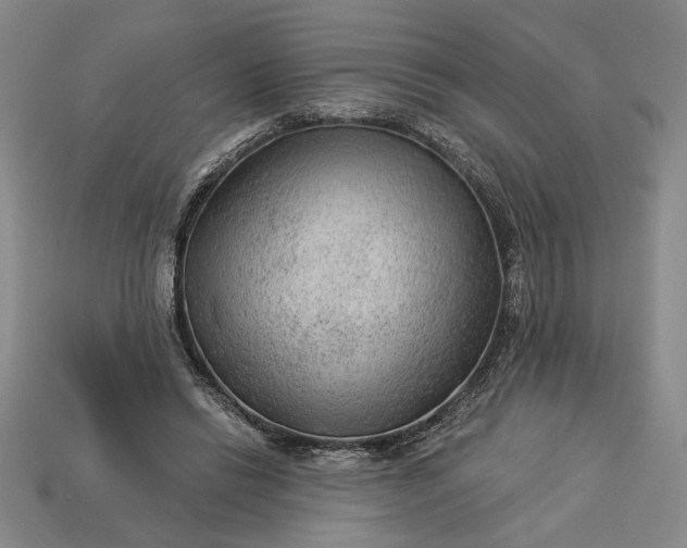 X0000113360446200909291033