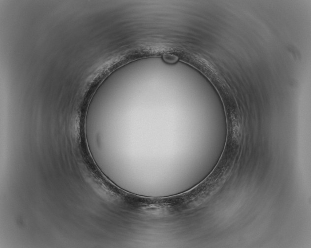 X0000113360447200909291033