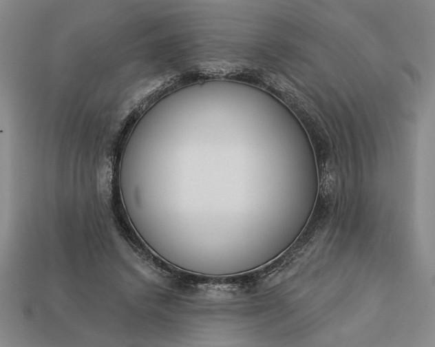 X0000113360448200909291033