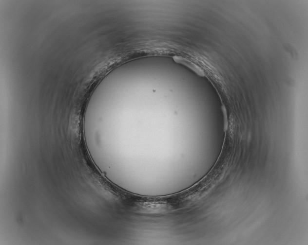 X0000113360449200909291033