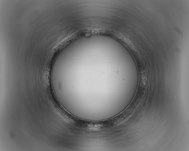 X0000113360450200909291033