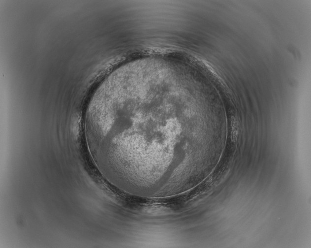 X0000113360451200909291033