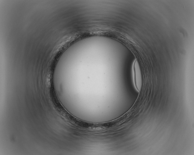 X0000113360452200909291033