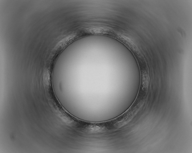 X0000113360453200909291033