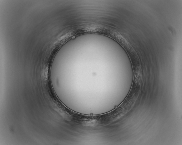 X0000113360454200909291033