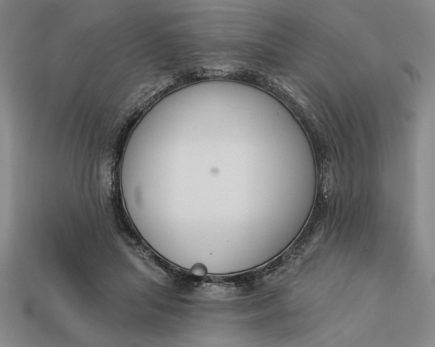 X0000113360455200909291033