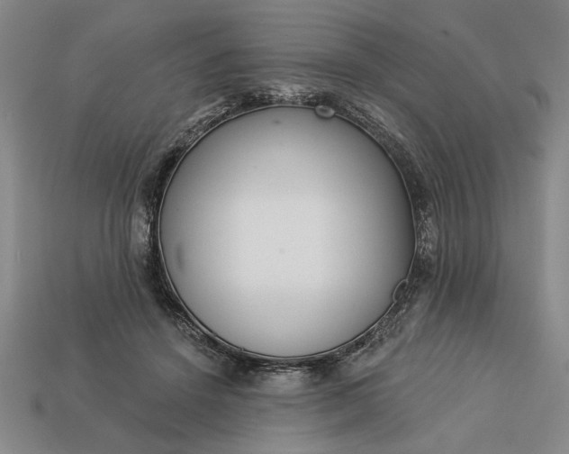 X0000113360456200909291033