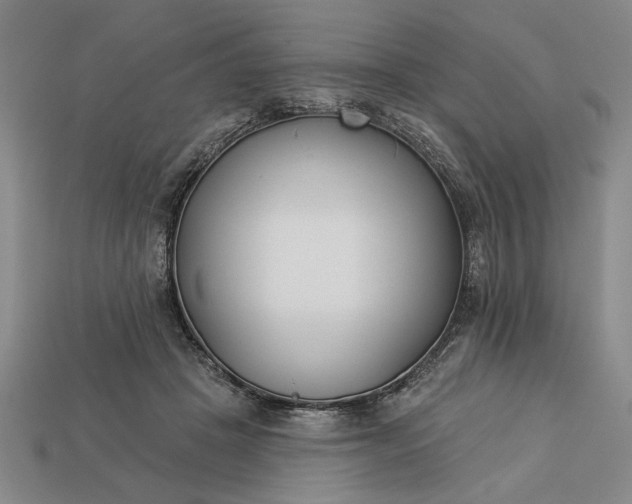 X0000113360457200909291033