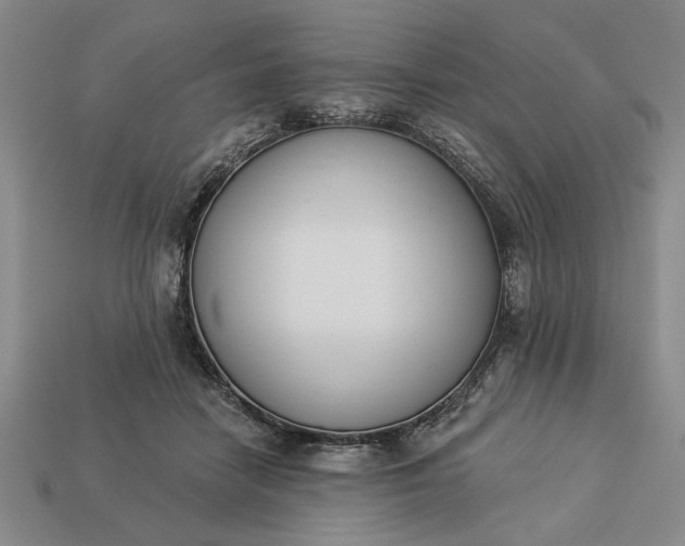 X0000113360458200909291033