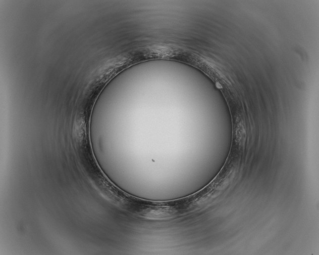 X0000113360459200909291033