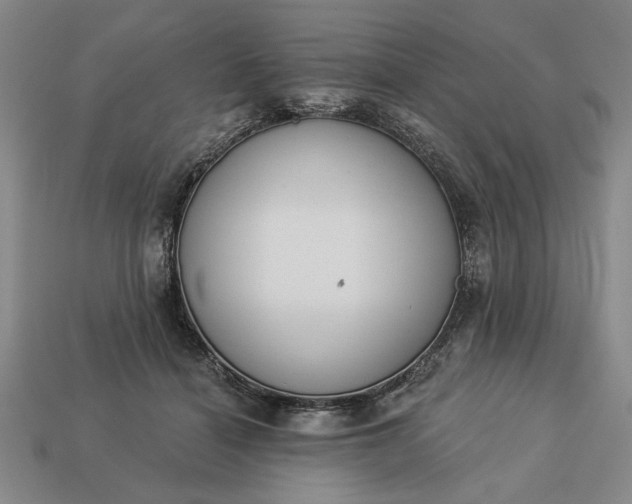 X0000113360460200909291033