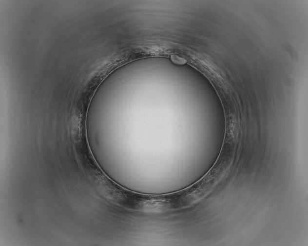 X0000113360461200909291033