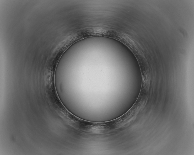 X0000113360462200909291033