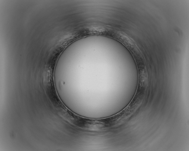 X0000113360463200909291033