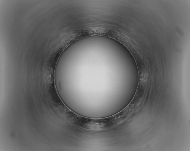 X0000113360464200909291033