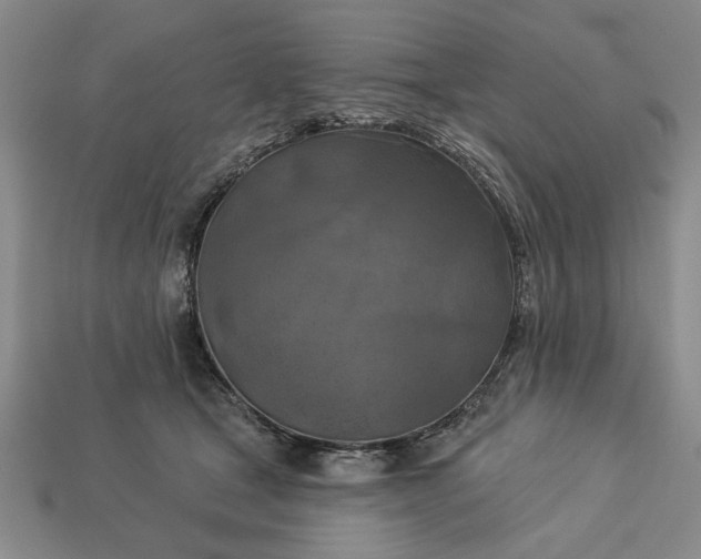 X0000113360465200909291033