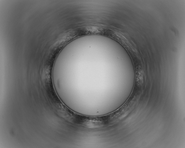 X0000113360466200909291033