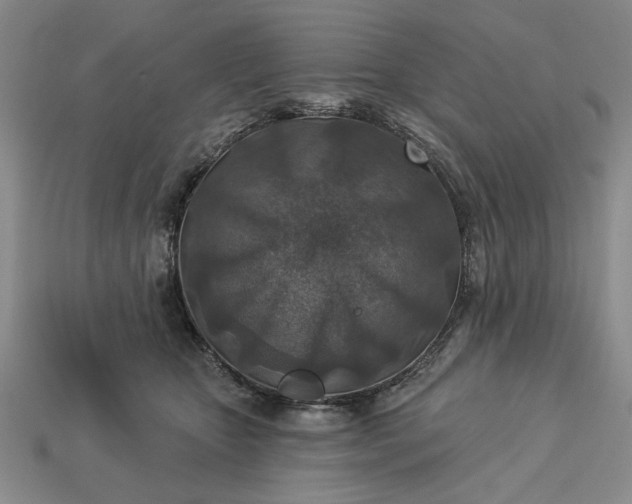 X0000113360467200909291033