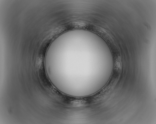 X0000113360468200909291033