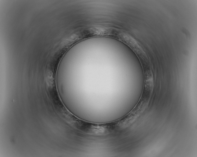 X0000113360469200909291033