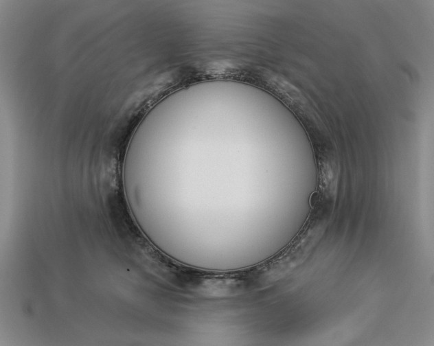 X0000113360470200909291033