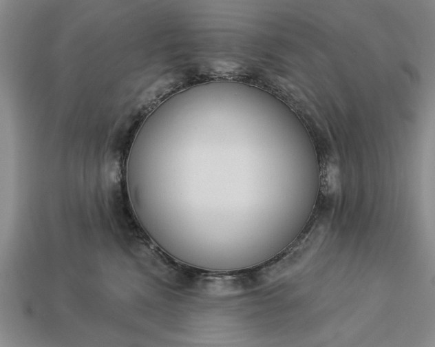 X0000113360472200909291033