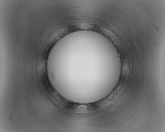 X0000113360473200909291033