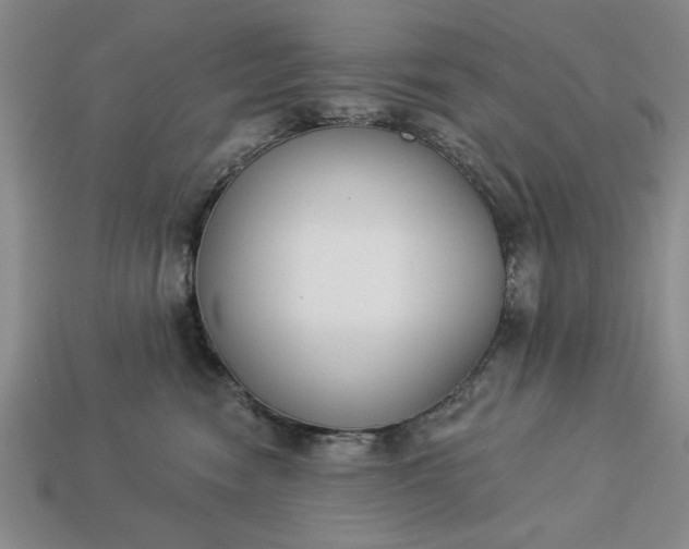 X0000113360474200909291033