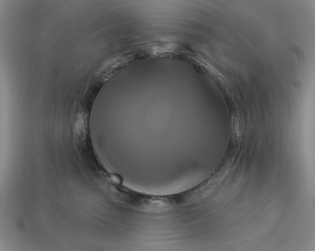 X0000113360475200909291033