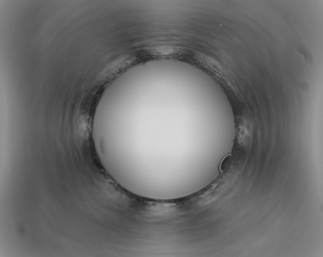 X0000113360476200909291033