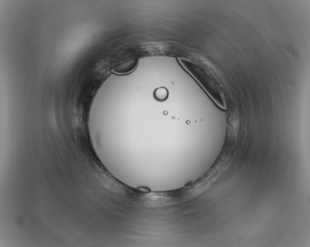 X0000113360477200909291034