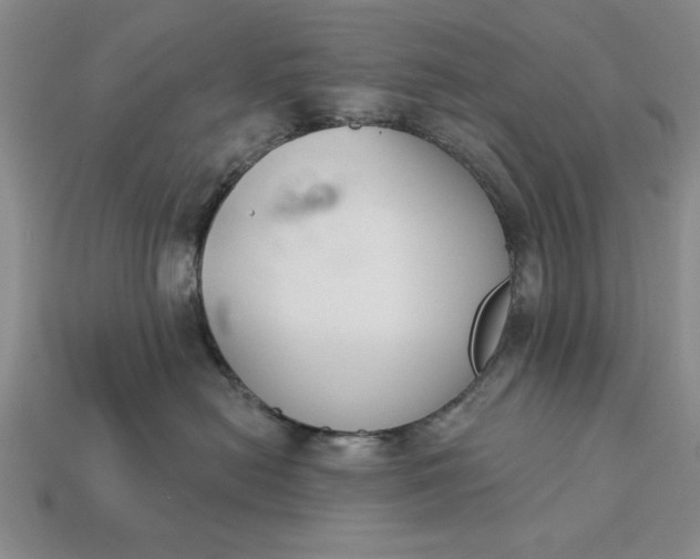 X0000113360478200909291034