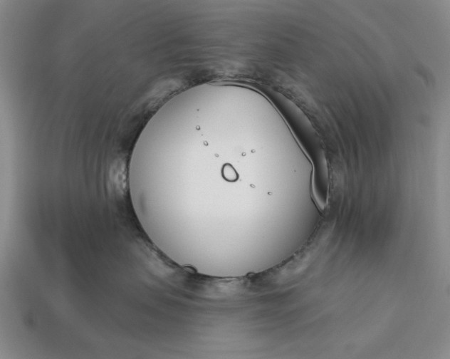 X0000113360479200909291034