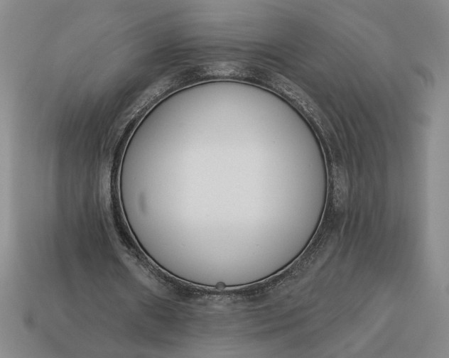 X0000113360482200909291033