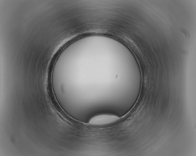 X0000113360484200909291033