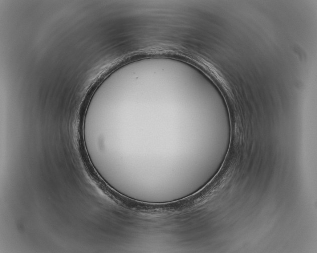 X0000113360485200909291033