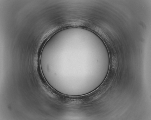 X0000113360486200909291033