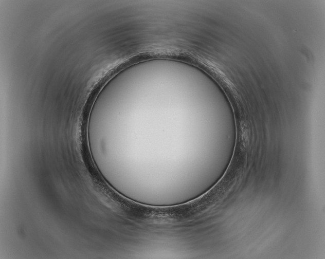 X0000113360487200909291033