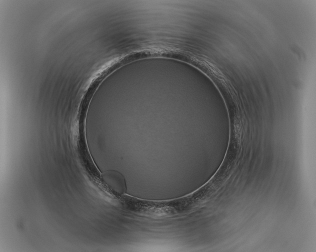 X0000113360488200909291033