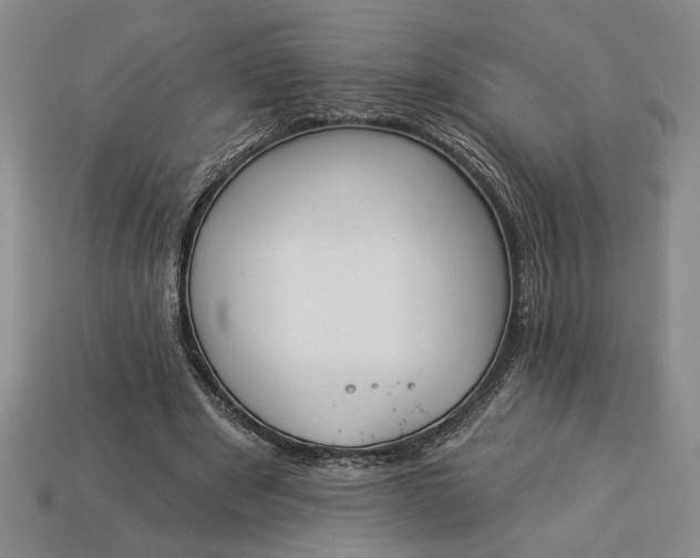 X0000113360489200909291033