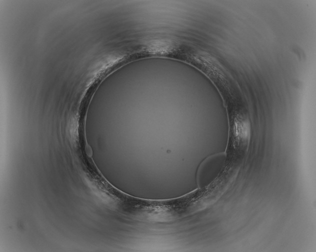 X0000113360492200909291033