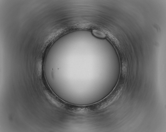 X0000113360493200909291033