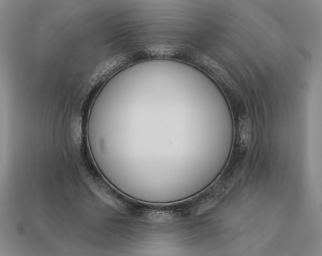 X0000113360494200909291033