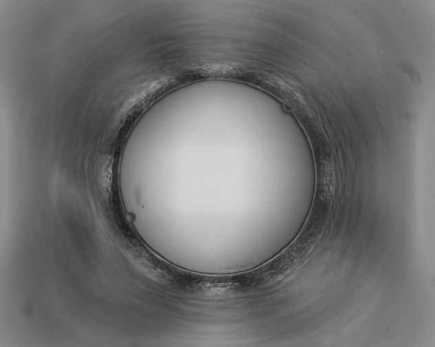 X0000113360495200909291033